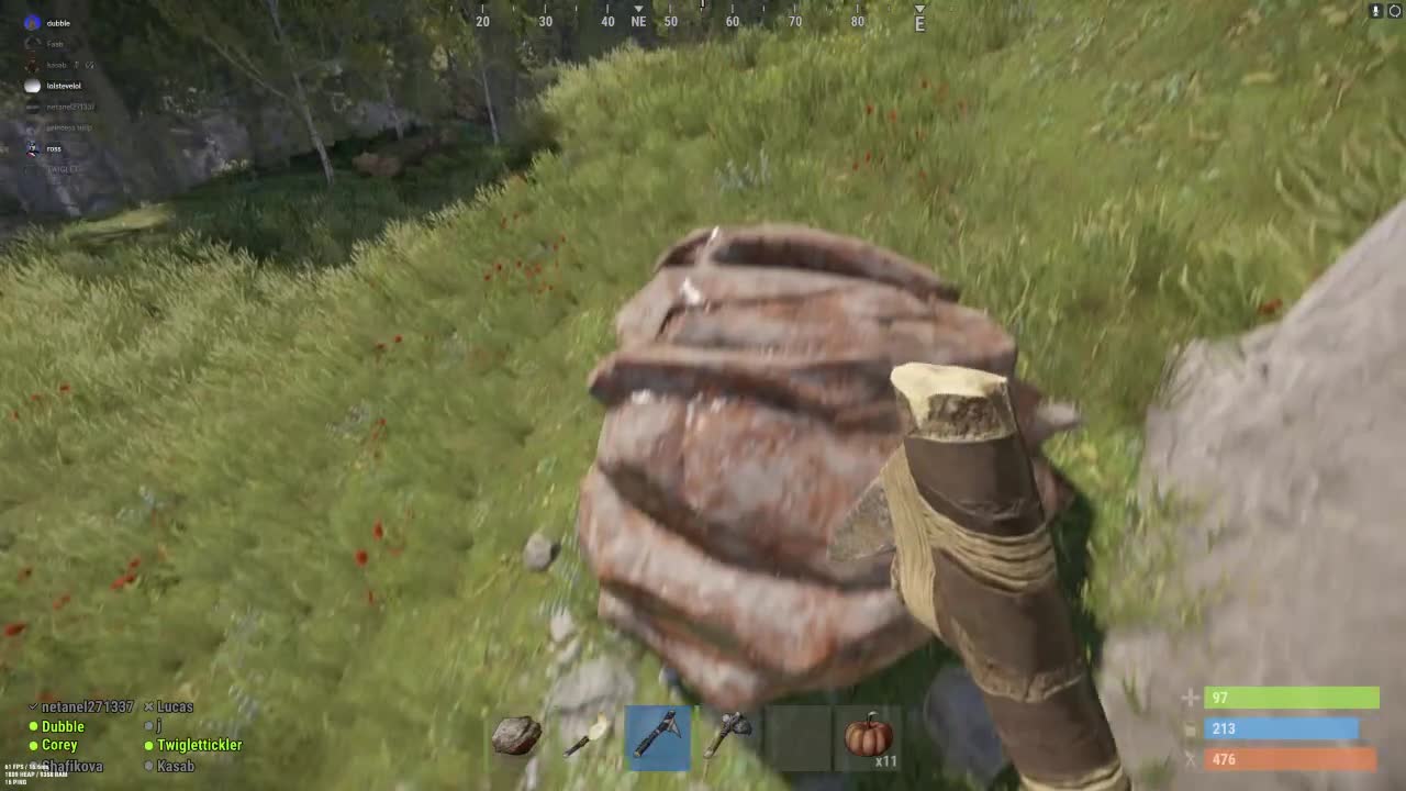 attacked by CHICKENS